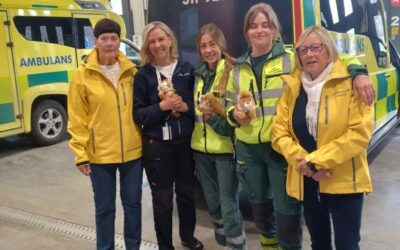 Lionslejon överlämnas
